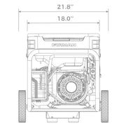 Generador de Energía Portátil (Planta) FIRMAN 4550 W Dual Fuel Gasolina y Gas - H03652 - FamilyBox.Store enviar a venezuela ship to venezuela supermercado online venezuela online supermarket